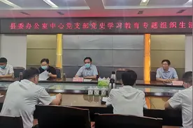 淅川县委书记卢捍卫参加县委办党支部专题组织生活会图片