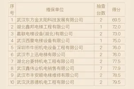 武汉市九成电梯维保质量优良10家电梯维保单位综合评分靠后图片