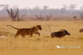 《书香长安》经典诵读——《生命力》图片