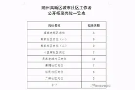 随州高新区城市社区工作者招录公告图片