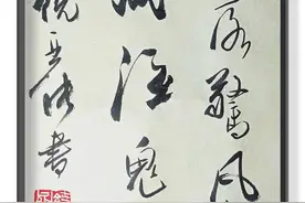 饶亚能书法 |《笔落惊风雨，诗成泣鬼神》图片