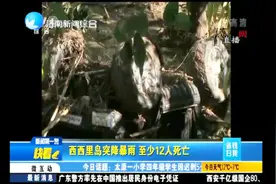四川发现国家二级保护动物猞猁，是色达县首次拍摄到猞猁活动画面视频封面