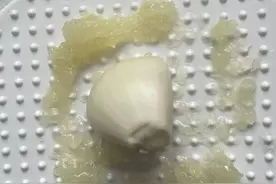 治疗金鱼肠炎的最佳方式，健康环保不用停食图片
