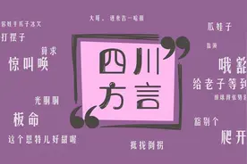 「四川省发布新规：公务场合必须使用普通话」网友神评火了图片