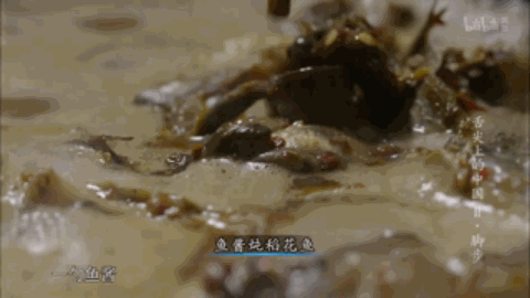 中国12大名酱，哪一款是你心目中的下饭酱王？