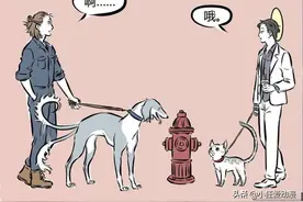 非人哉：杨戬VS大士特级厨师大赛！藕霸伙食太好变“胖藕霸”？图片