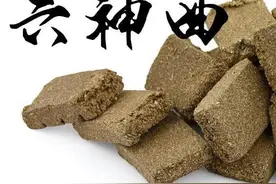中药古今研究：神曲图片