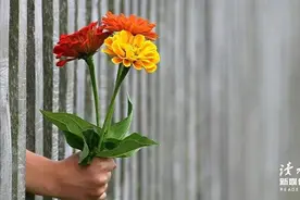 “女儿，为什么我不让你嫁给穷小子？”爸爸的话，太扎心了图片