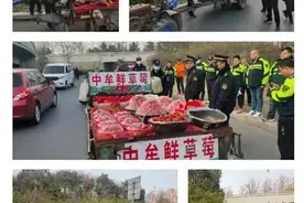 郑东新区执法局取缔黄河路金水立交违法占道经营行为图片