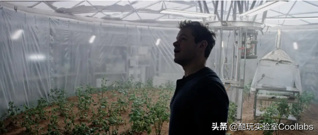 土豆到底能不能当饭吃？袁隆平生前是这么说的