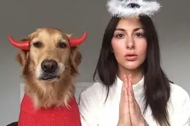 最“忠诚护主”的狗，主人对它们来说是最重要的图片