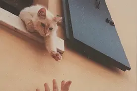 有些话听的人还记得，说的人却忘了图片