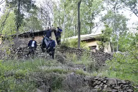 天然氧吧河南汝阳三屯镇黄营村图片