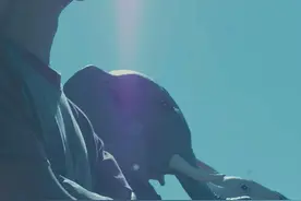 “喜欢听藏歌的朋友们，看这里！”这种形式的藏语翻唱，还是在全网第一次看到图片