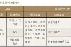 治疗湿热食滞致泄泻的中成药图片