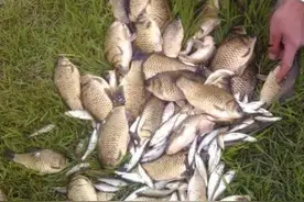 水底不停冒泡，鱼却总是不咬钩？20年老钓鱼人道破真相，莫泄露哦图片