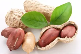 花生三遍药该怎么配？什么时间打效果最好？一篇文章为您讲清楚图片