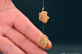 鱼饵怎么挂钩不掉？别想那么复杂，技巧都在手里图片