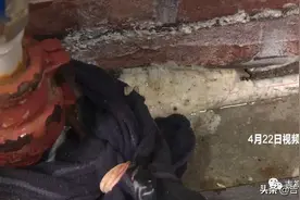 长春市农研宿舍：自来水漏水两个月，难关的阀门终于关上了！图片