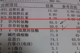 检查后发现转氨酶升高，怎么办，3种方法教你快速降低转氨酶图片