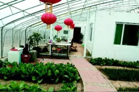 拆除违法建筑，不能以违法对违法图片