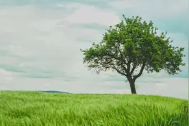 《士兵突击》九大经典语录，每一句都值得深思图片