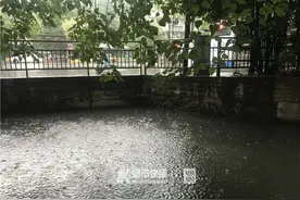 昨天下午杭州一保姆落水，采荷路上开铝合金加工店的老赵一家人，用家里的晾衣钢管把人救了上来图片