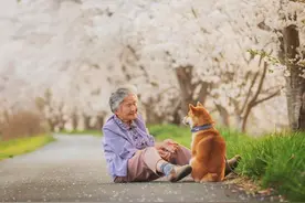 85岁奶奶和柴犬一张照片，获12万人点赞，余生陪你拍遍最美的花海图片