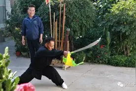 马金田的习武人生图片