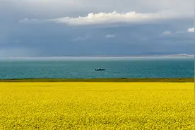 青海西游记：来到青海湖图片