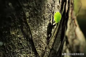 开阔眼界，别让“圈子”圈住眼界图片