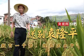 送别袁隆平——我有一个梦，埋在泥土中图片