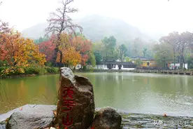 初冬游苏州天平山赏红叶，感受范仲淹先忧后乐的家国情怀图片