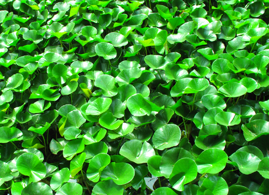 高中生物学习经验分享
