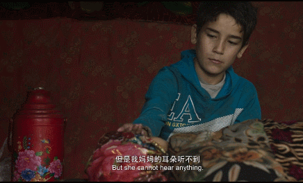 ��13����Ƭ������һ����Ӱ�ڣ������и���