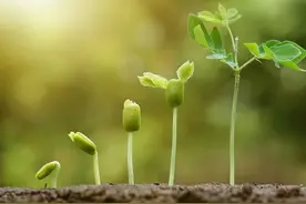 抑郁症：抑郁症不吃药到底能不能好？图片