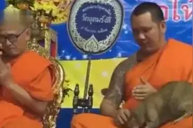 萌化了！泰国僧人诵经时猫咪在他身上不停撒娇求撸视频封面