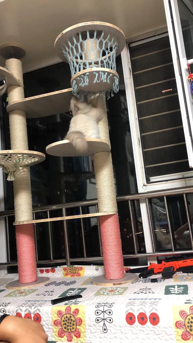 自己做一个猫爬架