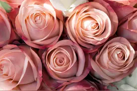 当你在想念一个人的时候，对方也会有感觉？心理学解析：第六感图片