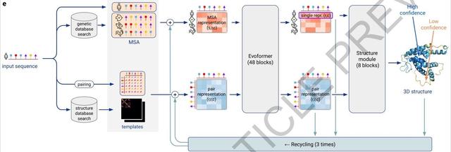 人类生物学的大突破，就这样被 AI 做到了