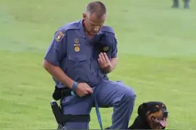 南非45条小狗离奇死亡，继新冠、猪瘟之后，狗瘟即将来袭？图片