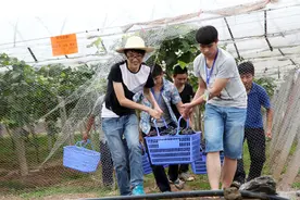 暑期工为何被歧视！谁来保障他们的权益图片