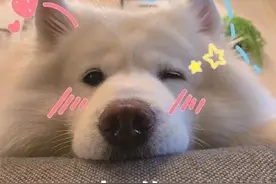 电你～  可爱沙雕表情包图片