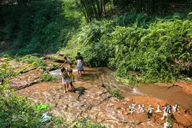 成都清凉耍水全推荐！几乎都没门票，瀑布小溪一秒降温，当天来回图片