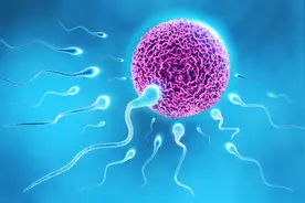 美国科学家发现，精子与卵子结合时会发光，光芒越亮质量越好图片