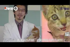 橘猫遭撞半身瘫痪　宠物云兽医暖心收编“把屎把尿”6年图片