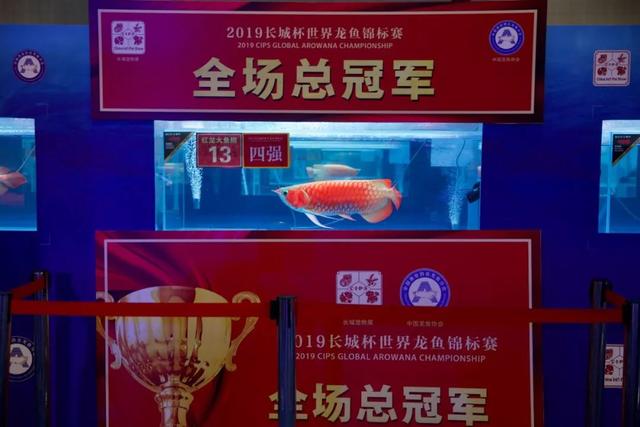 墙面画像鱼鳞片一样的是什么材料