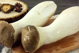 鸡腿菇怎么做才好吃？刘嫂教你一个饭店的做法，简单入味超下饭！视频封面
