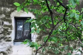 寻访藏在巷子深处的老宅，不失为一种“寻幽式”的平江路之行图片