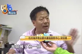 挖掘机挖掉别墅门口几十棵树，业主怀疑物业经理报复自己，还被对方掐脖子？图片